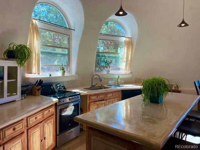 MLS Image #5 for 408 n chaparral way,crestone, Colorado