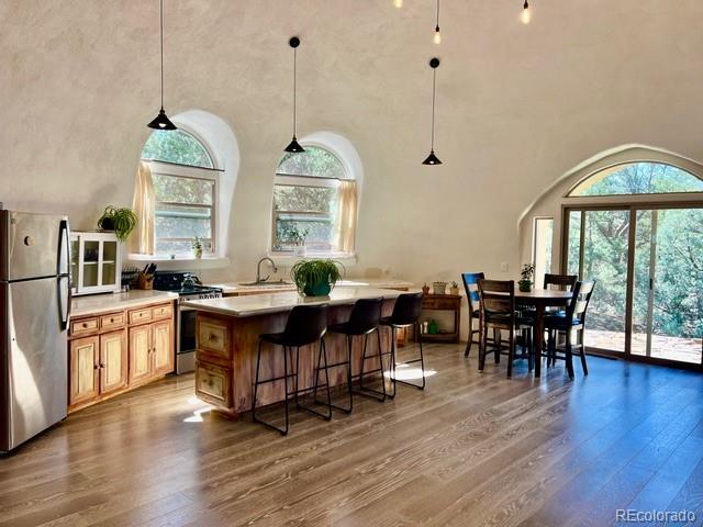 MLS Image #8 for 408 n chaparral way,crestone, Colorado
