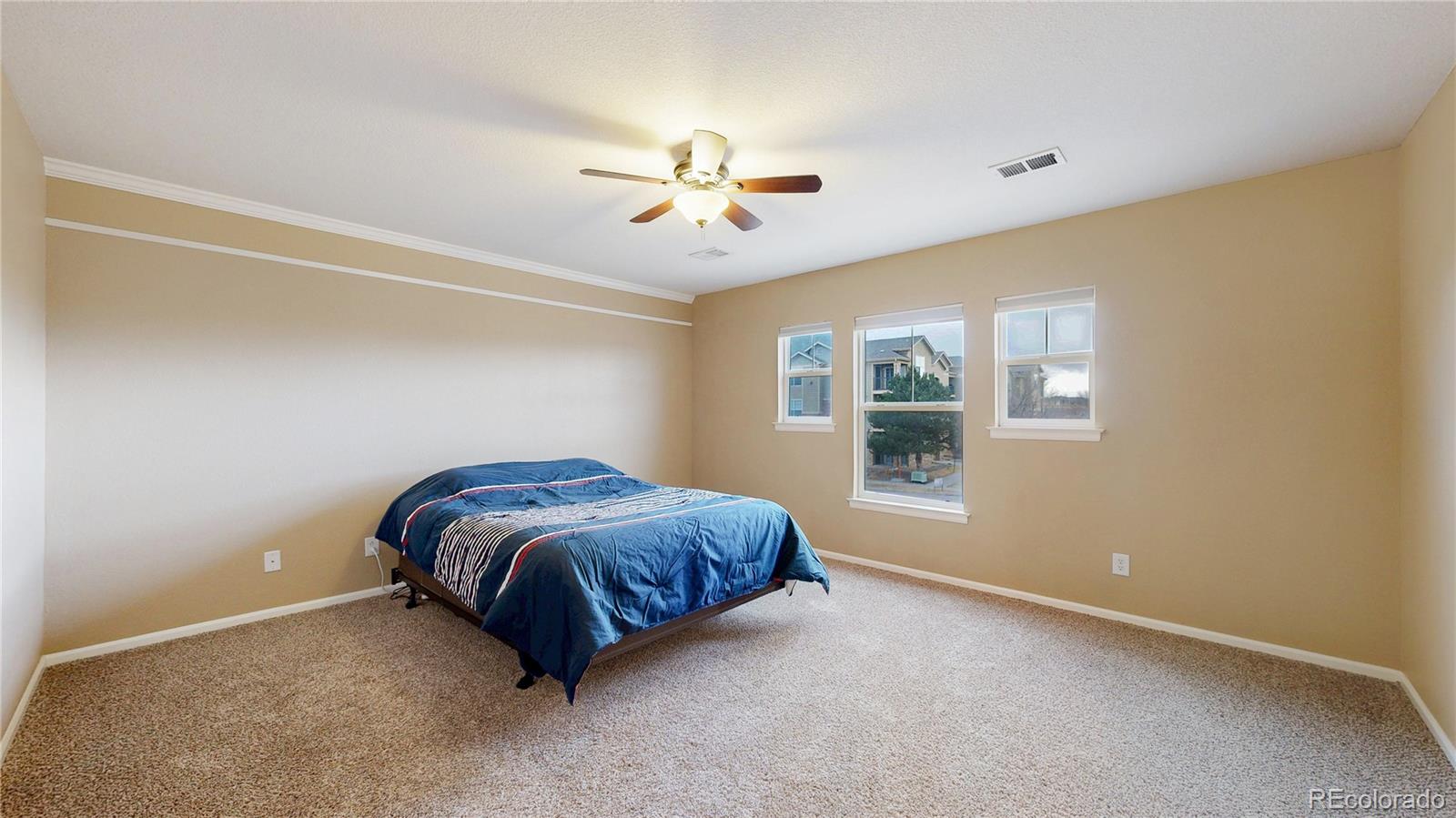 MLS Image #18 for 9039  apache plume drive c,parker, Colorado