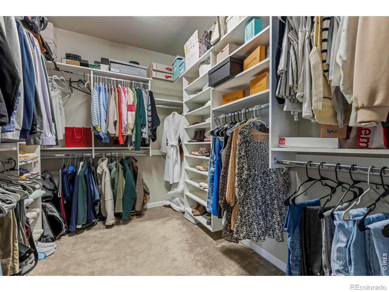 MLS Image #23 for 5043  oakley drive,timnath, Colorado