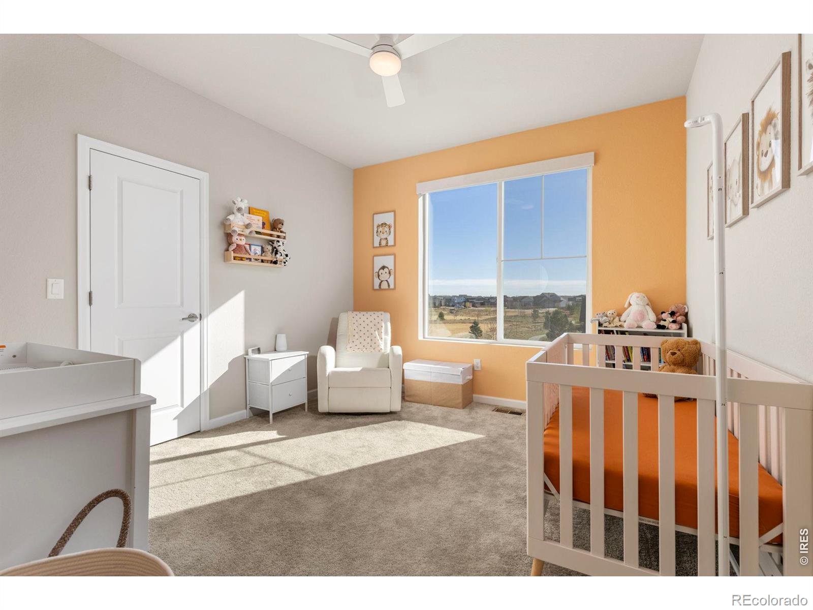 MLS Image #24 for 5043  oakley drive,timnath, Colorado