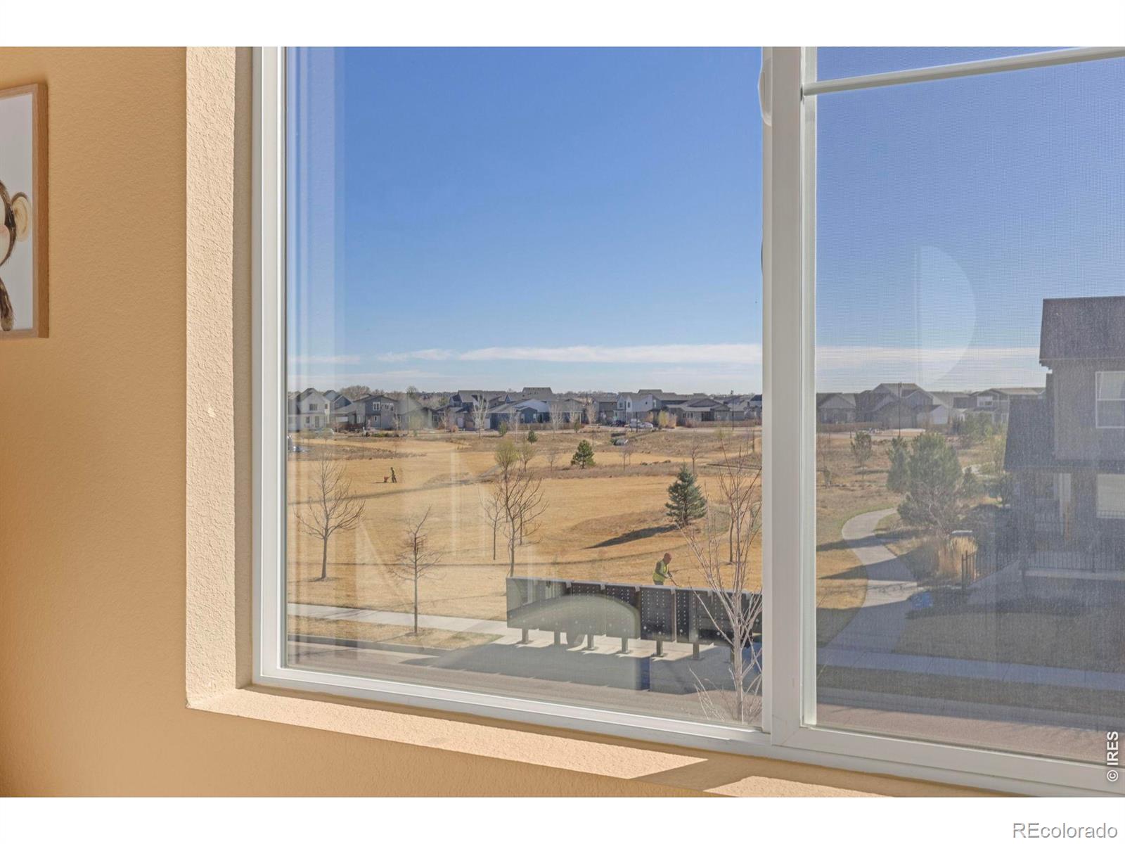 MLS Image #25 for 5043  oakley drive,timnath, Colorado