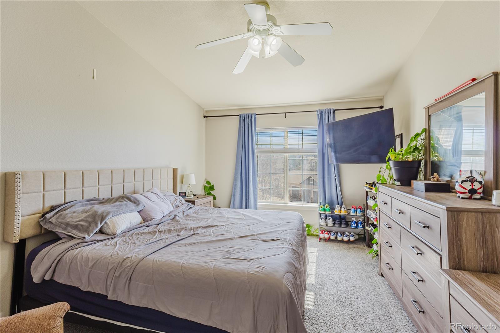 MLS Image #14 for 488  black feather loop 210,castle rock, Colorado