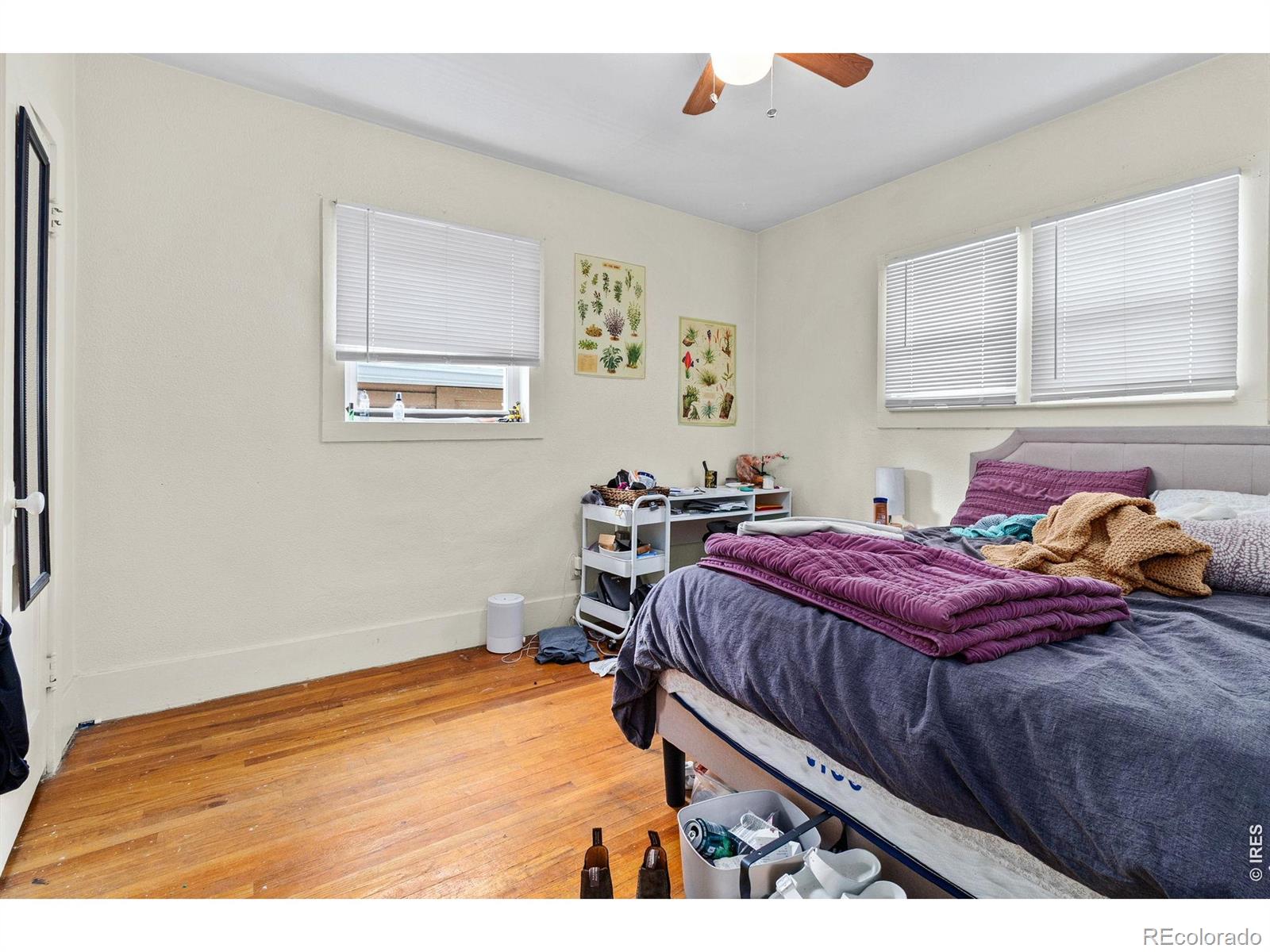 MLS Image #9 for 531 s whitcomb street,fort collins, Colorado