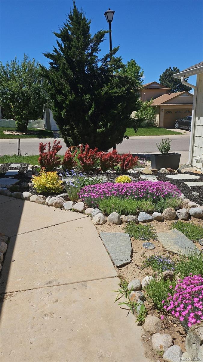 MLS Image #38 for 581  longfellow lane,highlands ranch, Colorado