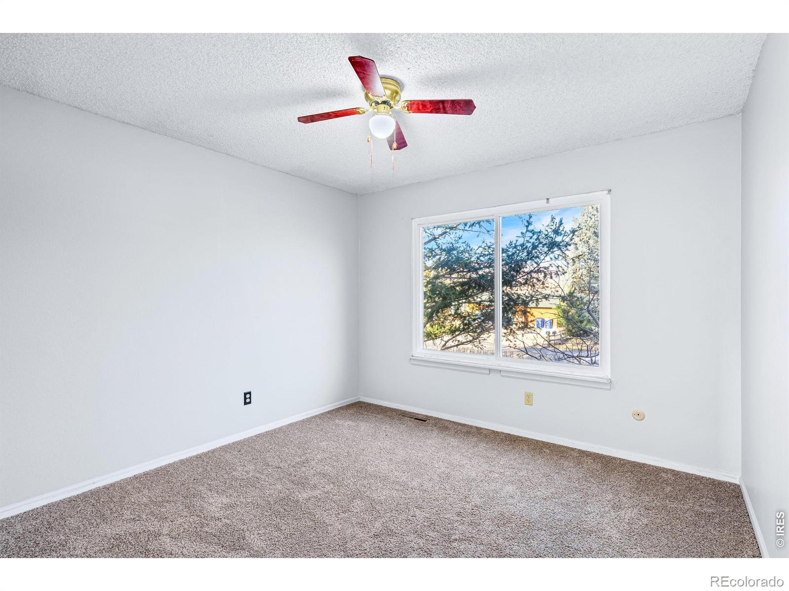MLS Image #14 for 2912  killarney drive,laporte, Colorado