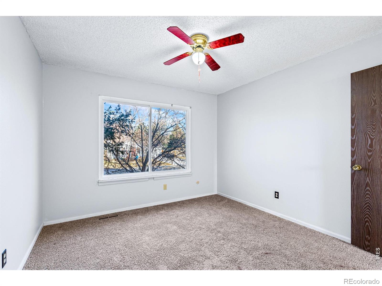 MLS Image #17 for 2912  killarney drive,laporte, Colorado