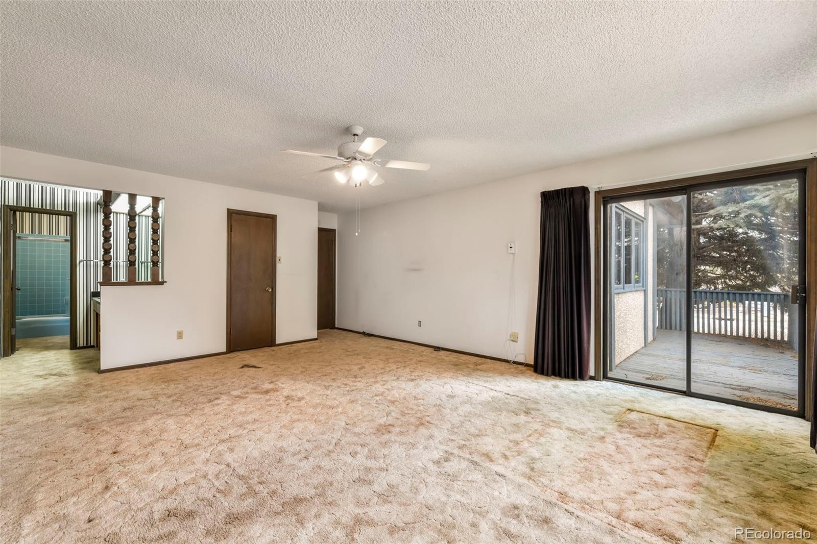 MLS Image #14 for 4302  valli vista road,colorado springs, Colorado