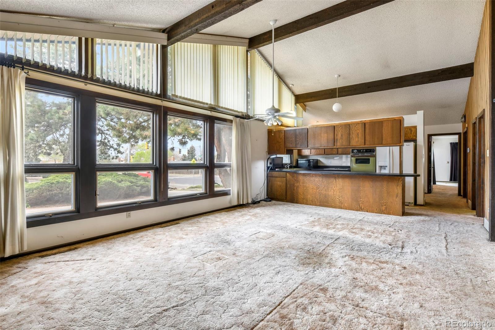MLS Image #8 for 4302  valli vista road,colorado springs, Colorado