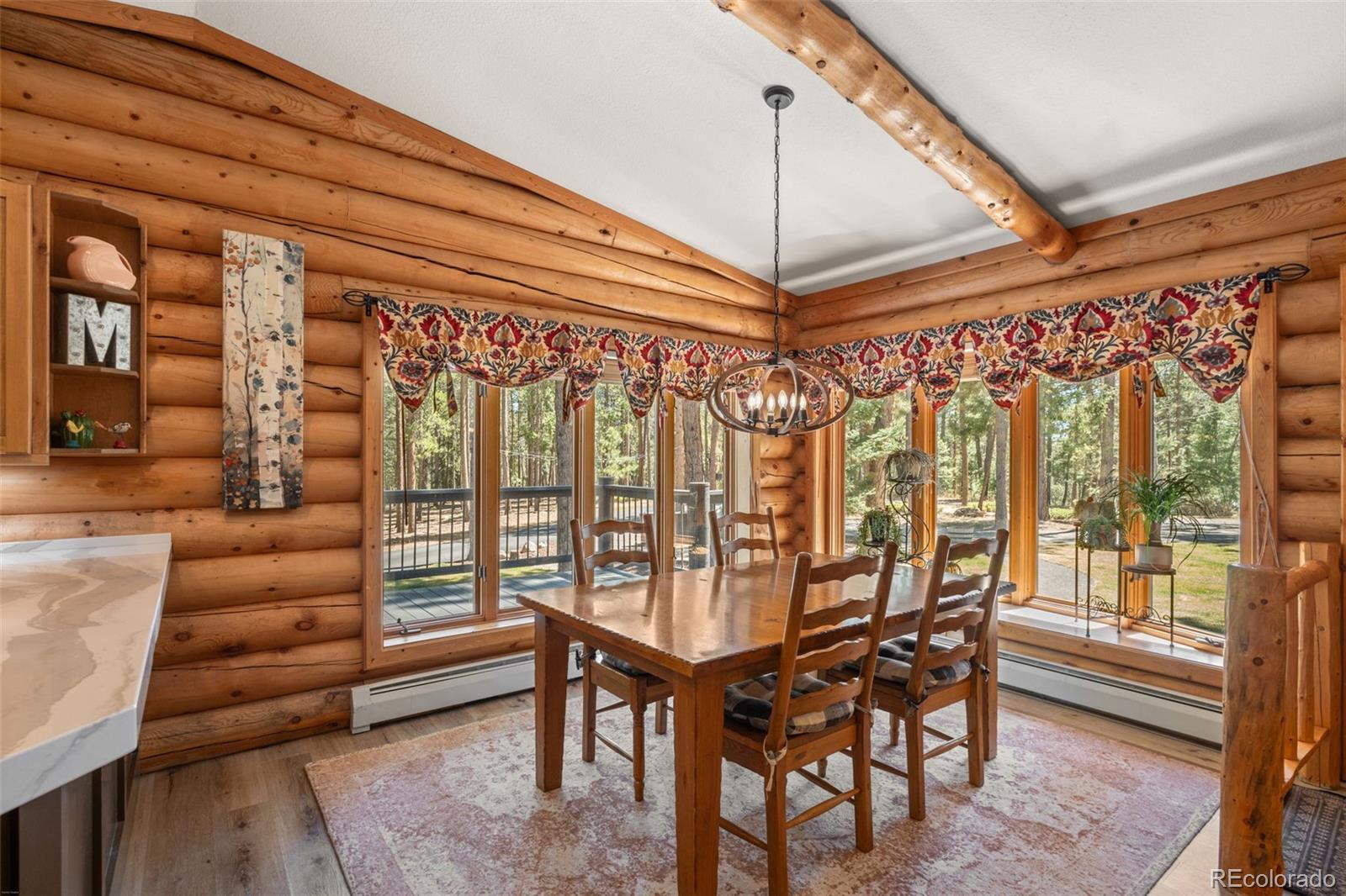 MLS Image #18 for 23550  pleasant park road,conifer, Colorado