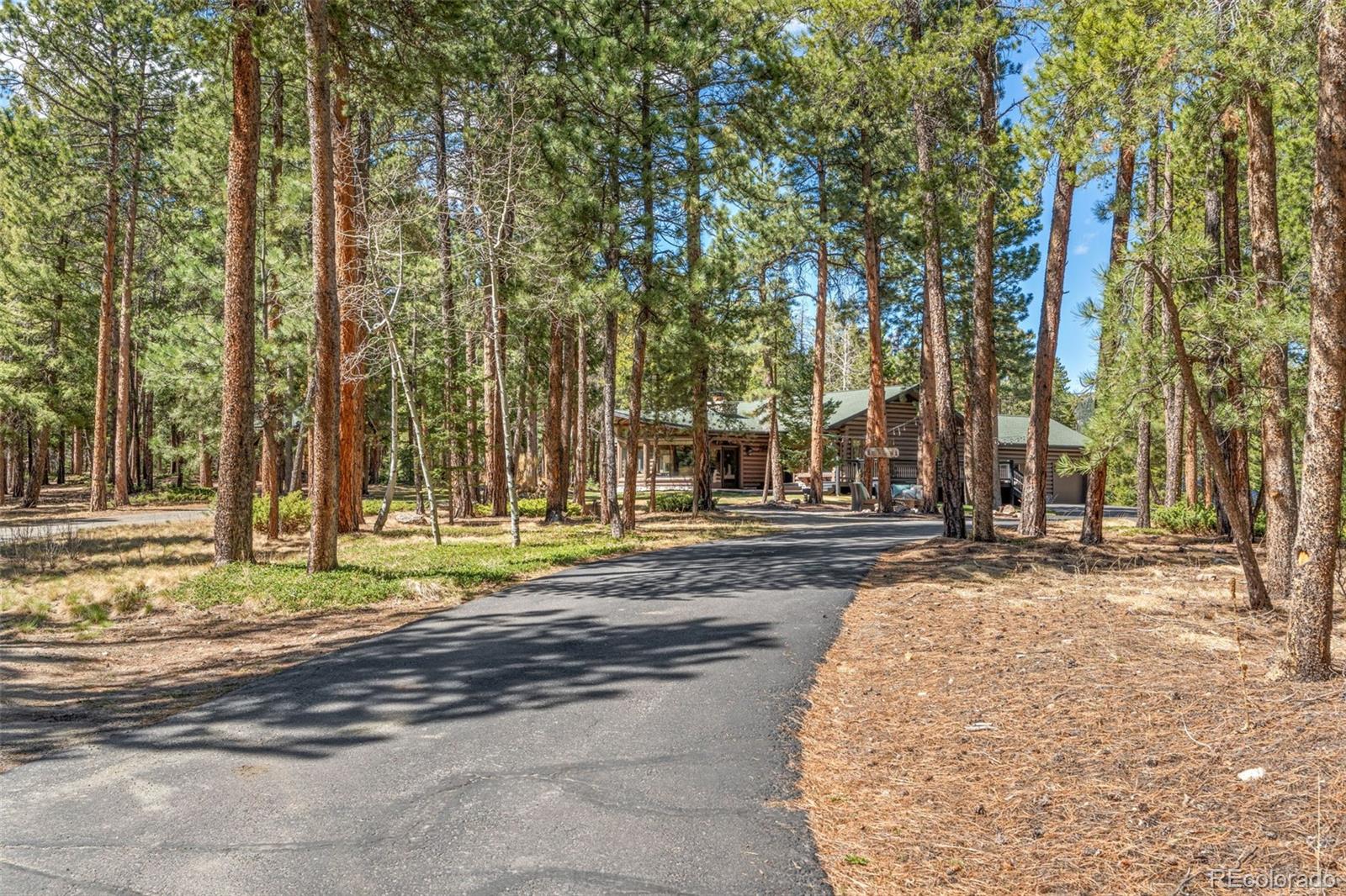 MLS Image #2 for 23550  pleasant park road,conifer, Colorado