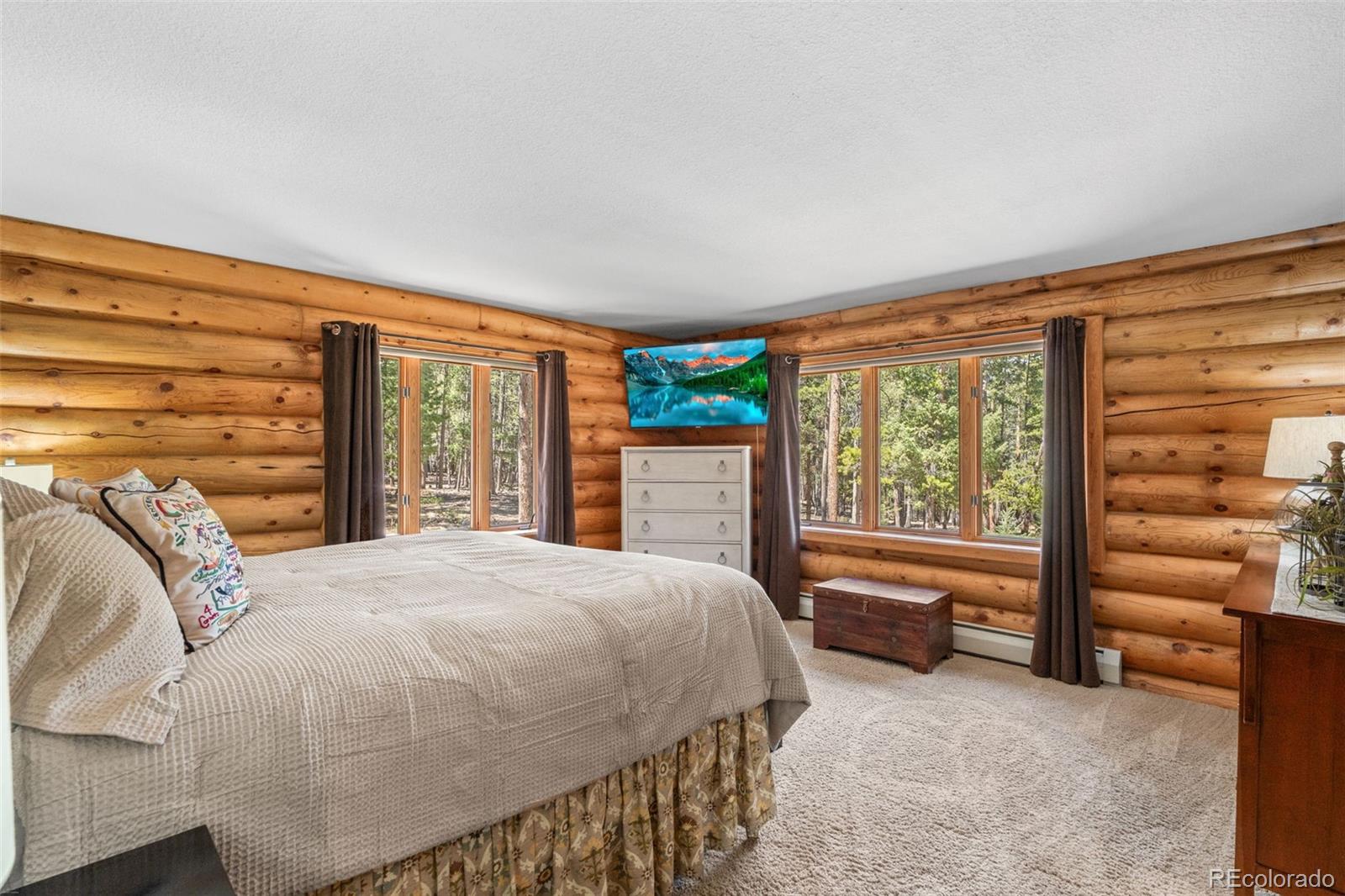 MLS Image #24 for 23550  pleasant park road,conifer, Colorado