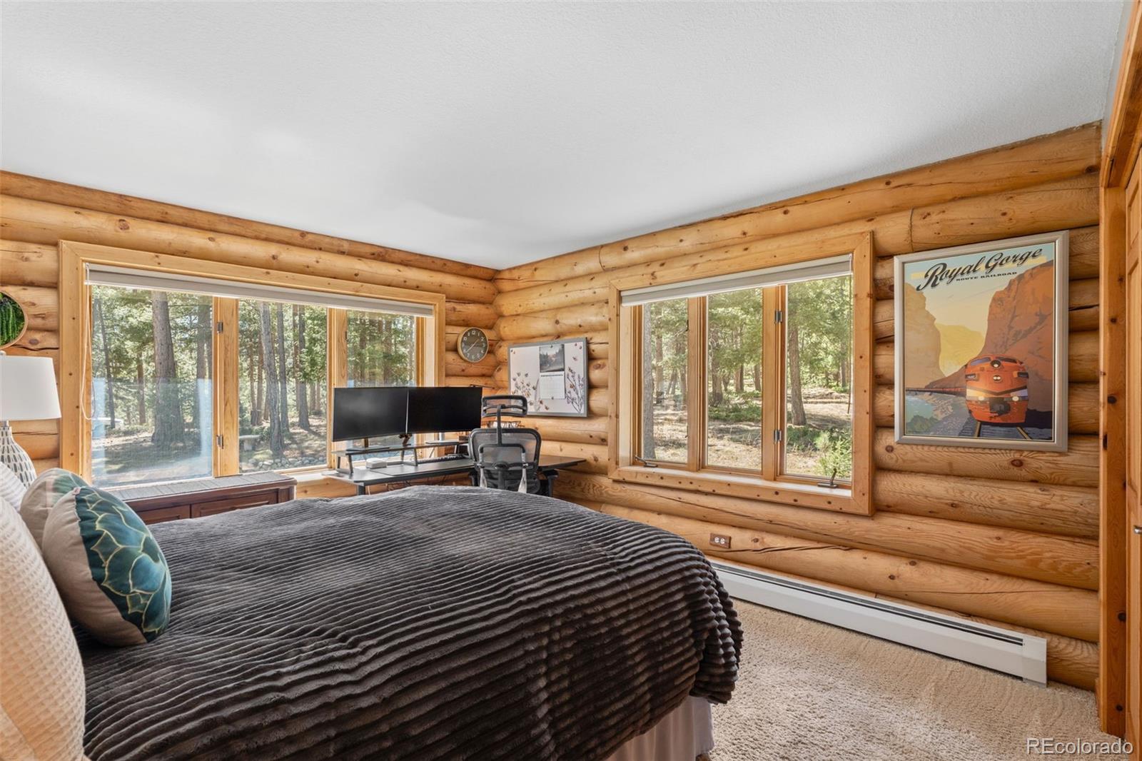 MLS Image #27 for 23550  pleasant park road,conifer, Colorado
