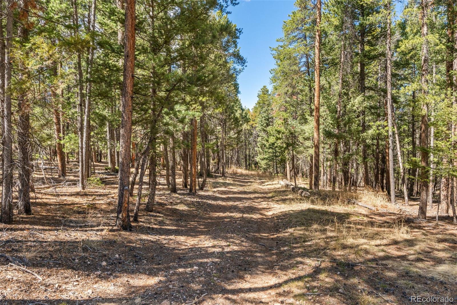 MLS Image #43 for 23550  pleasant park road,conifer, Colorado