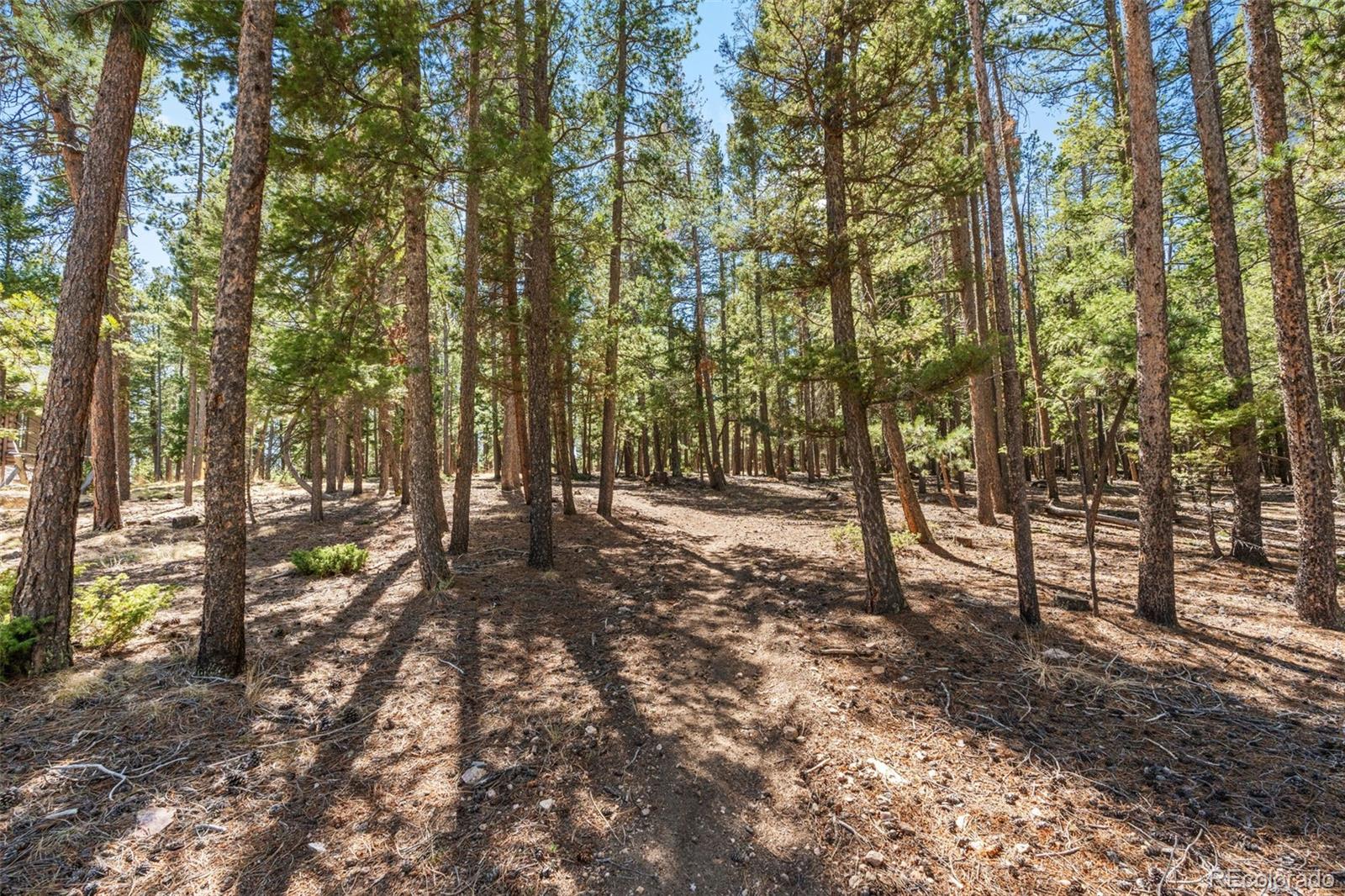 MLS Image #44 for 23550  pleasant park road,conifer, Colorado