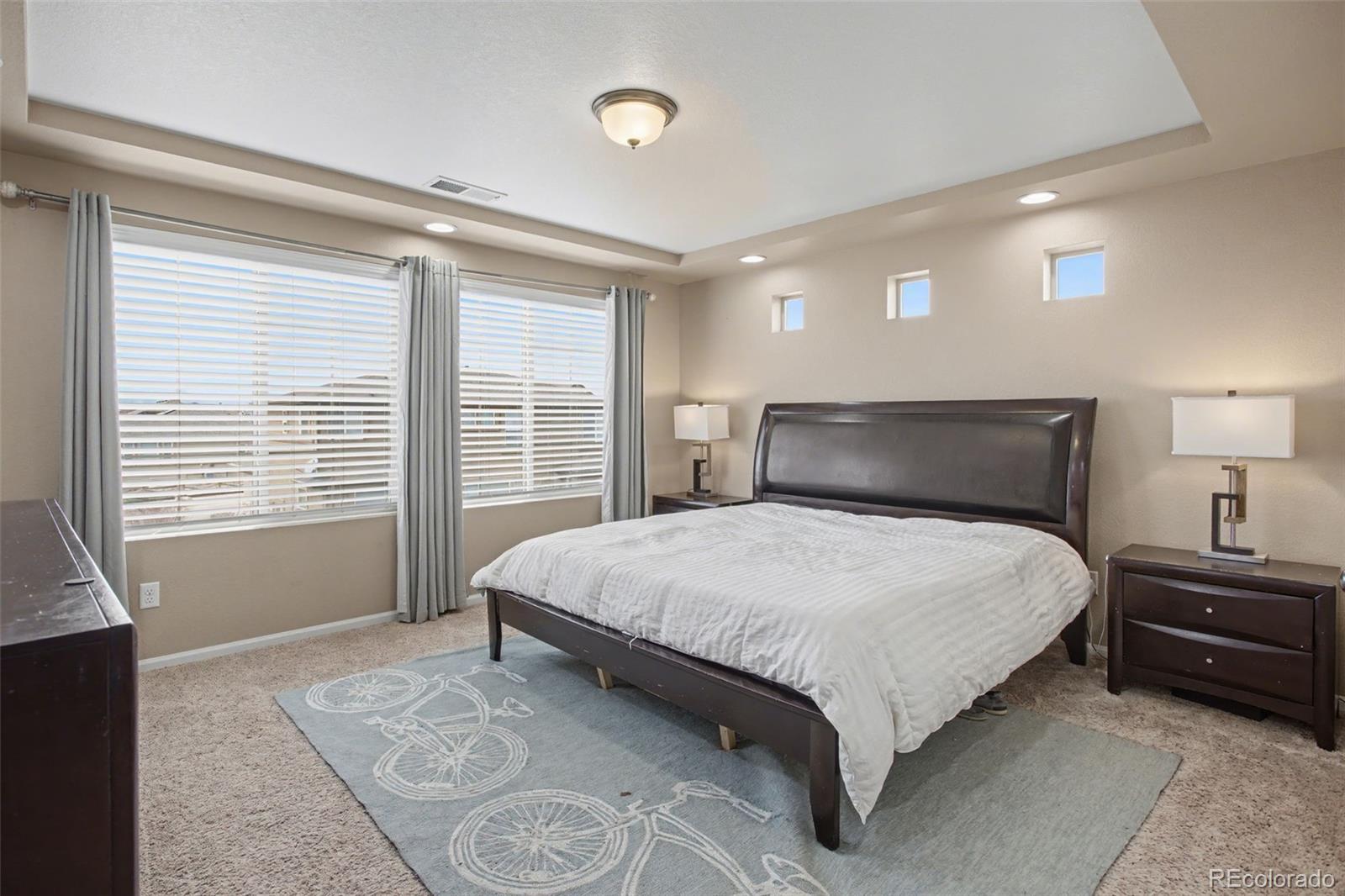 MLS Image #17 for 8215  birch tree loop,colorado springs, Colorado