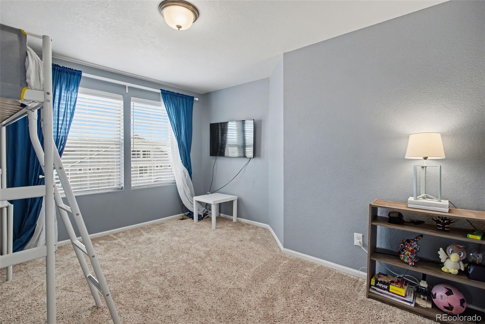 MLS Image #19 for 8215  birch tree loop,colorado springs, Colorado