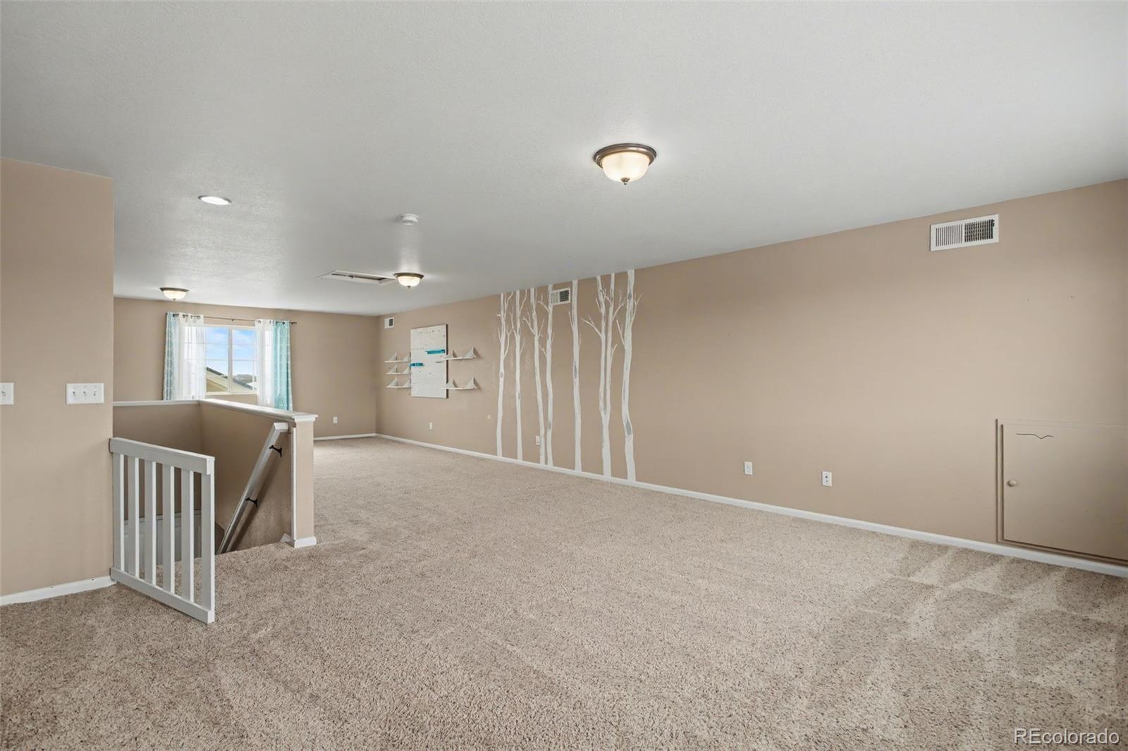 MLS Image #22 for 8215  birch tree loop,colorado springs, Colorado