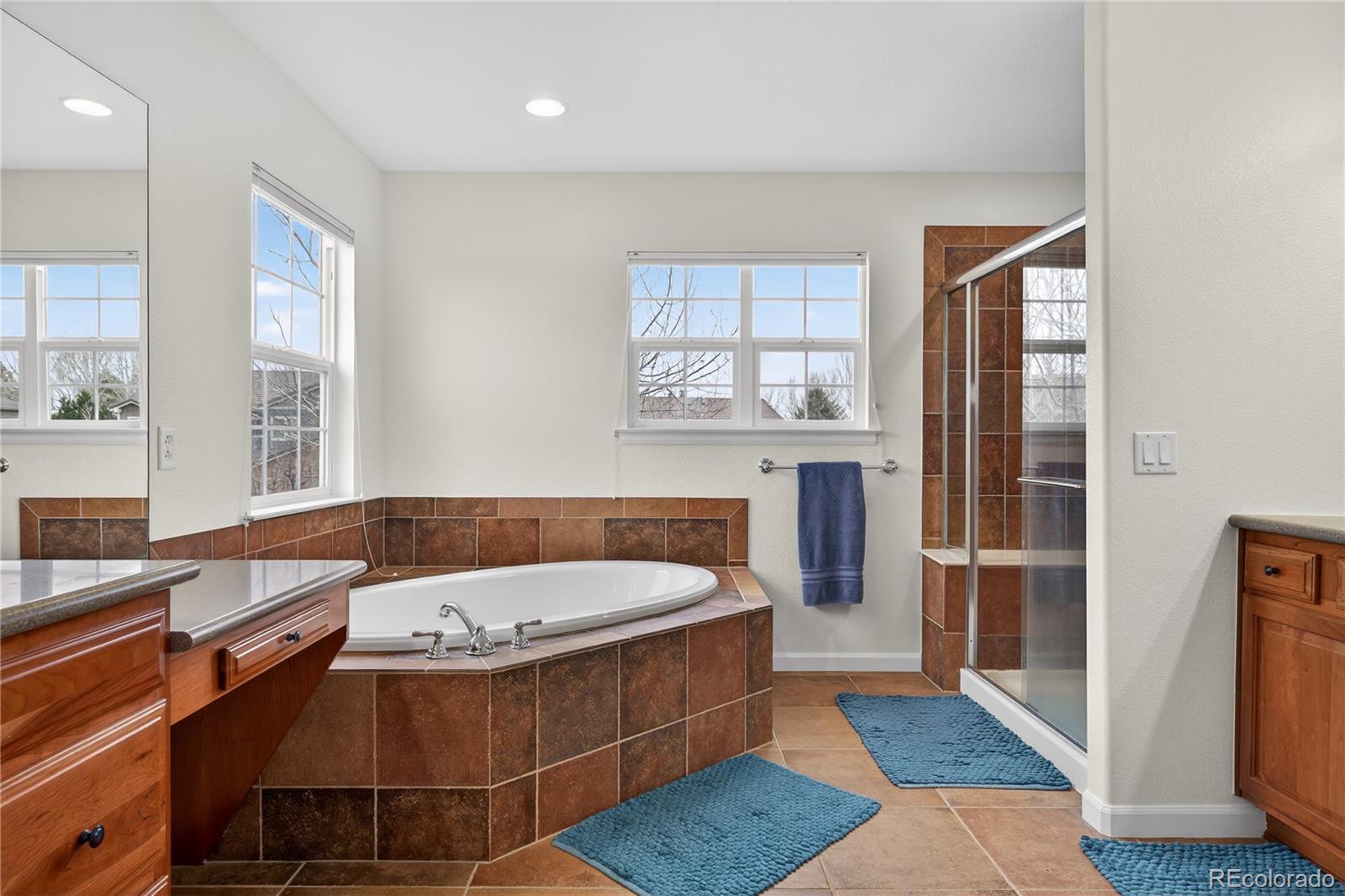 MLS Image #20 for 3172  traver drive,broomfield, Colorado