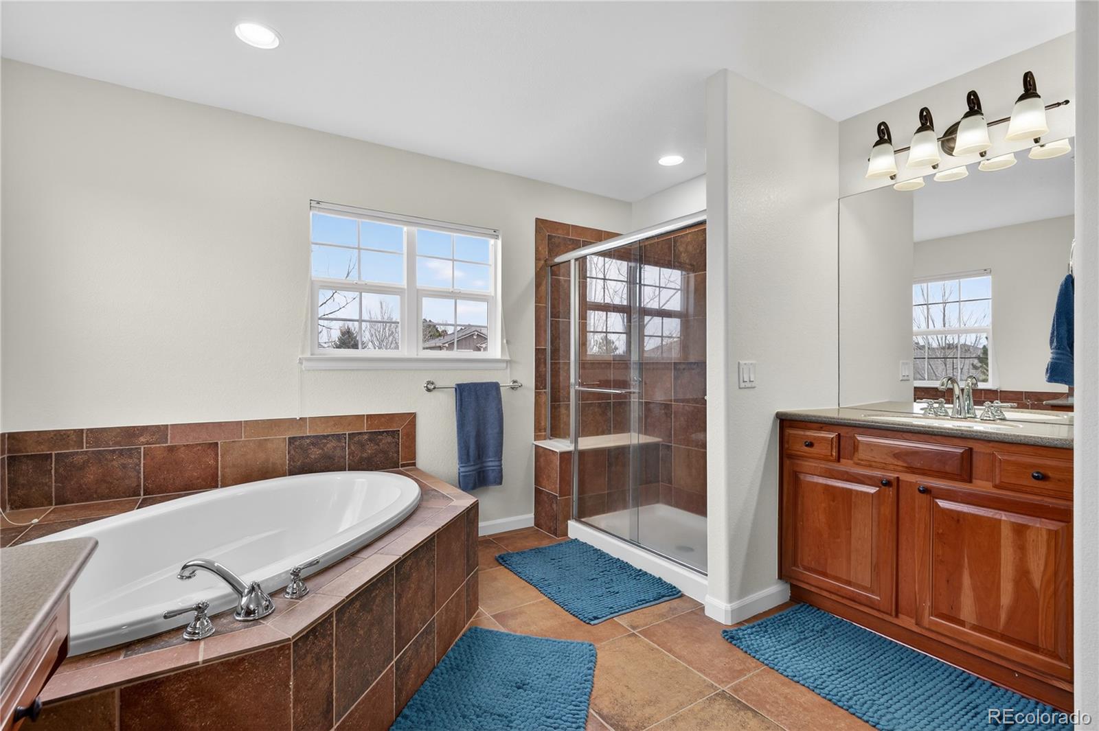 MLS Image #21 for 3172  traver drive,broomfield, Colorado
