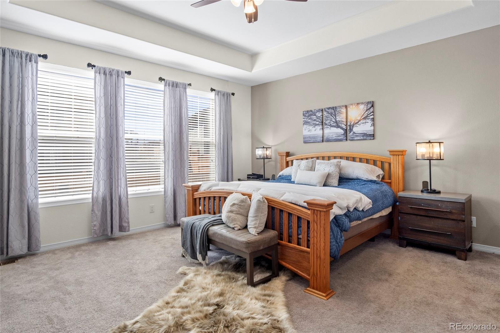 MLS Image #14 for 16216  lanceleaf place,parker, Colorado