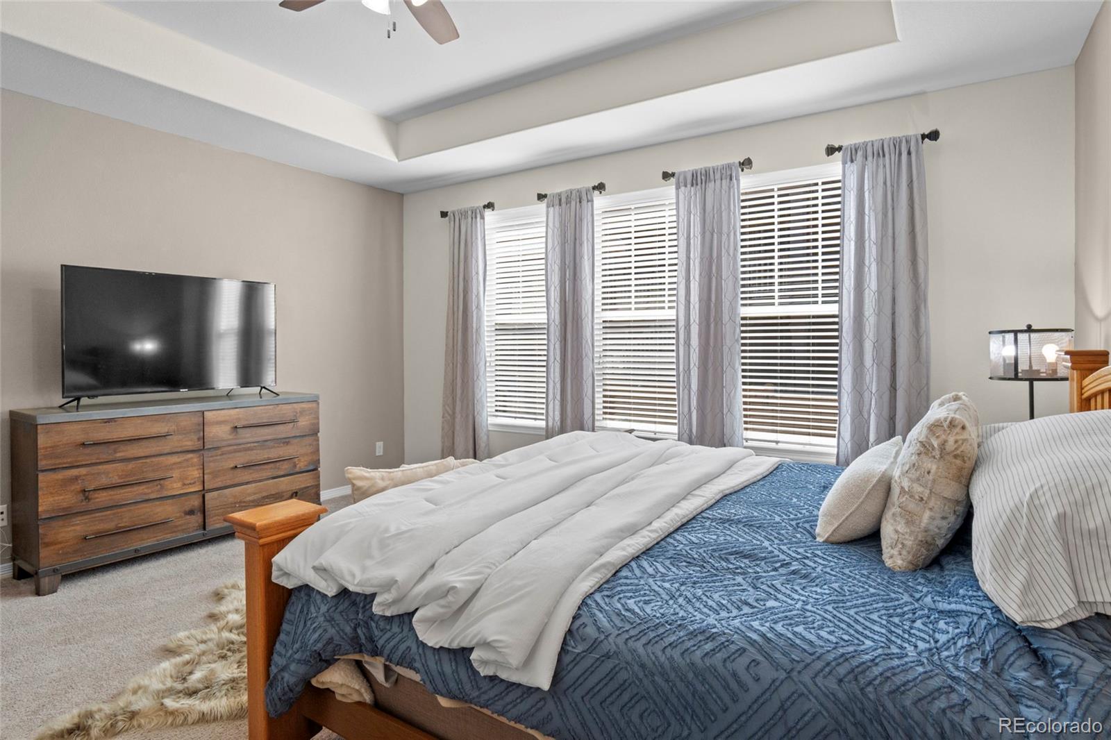 MLS Image #16 for 16216  lanceleaf place,parker, Colorado