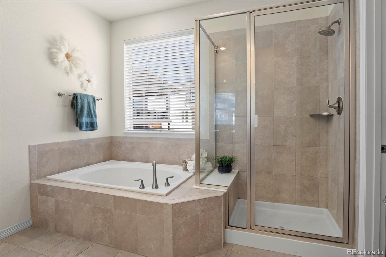 MLS Image #20 for 16216  lanceleaf place,parker, Colorado