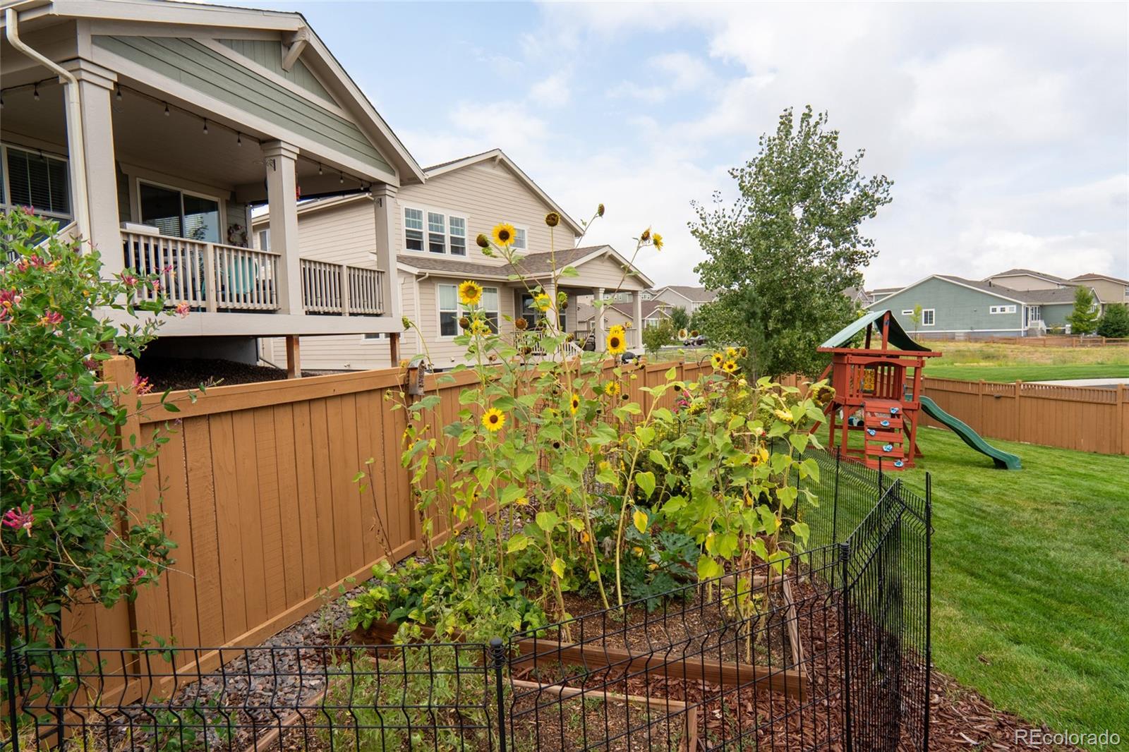 MLS Image #29 for 16216  lanceleaf place,parker, Colorado
