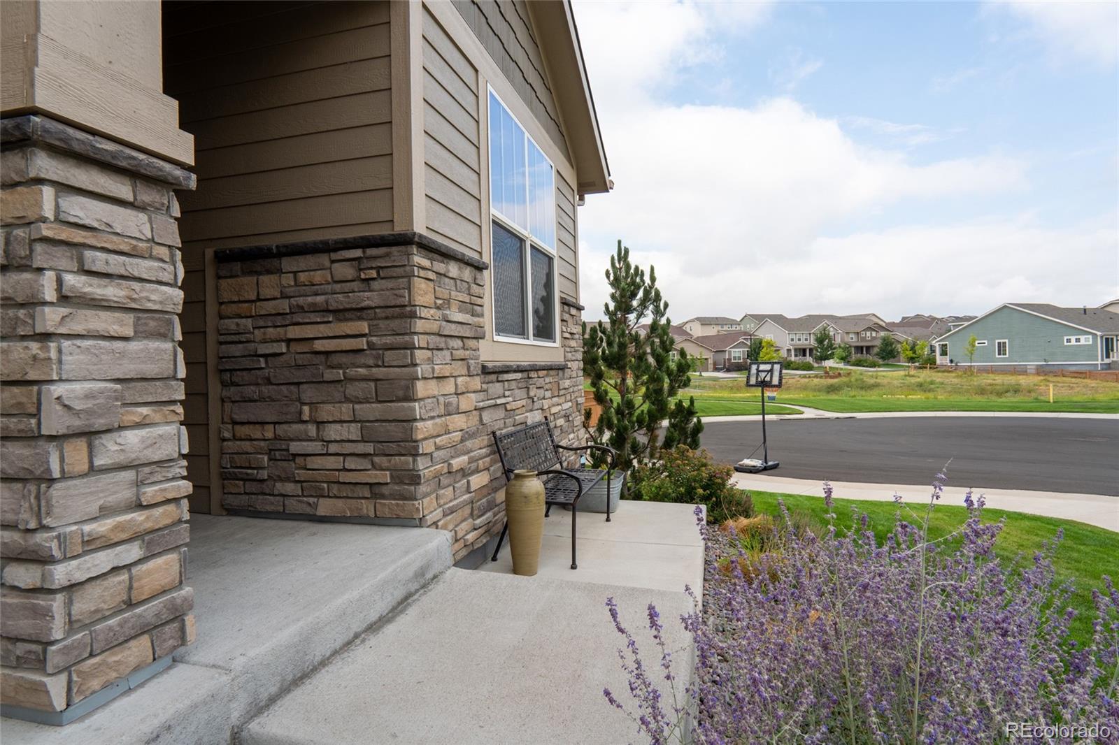 MLS Image #3 for 16216  lanceleaf place,parker, Colorado