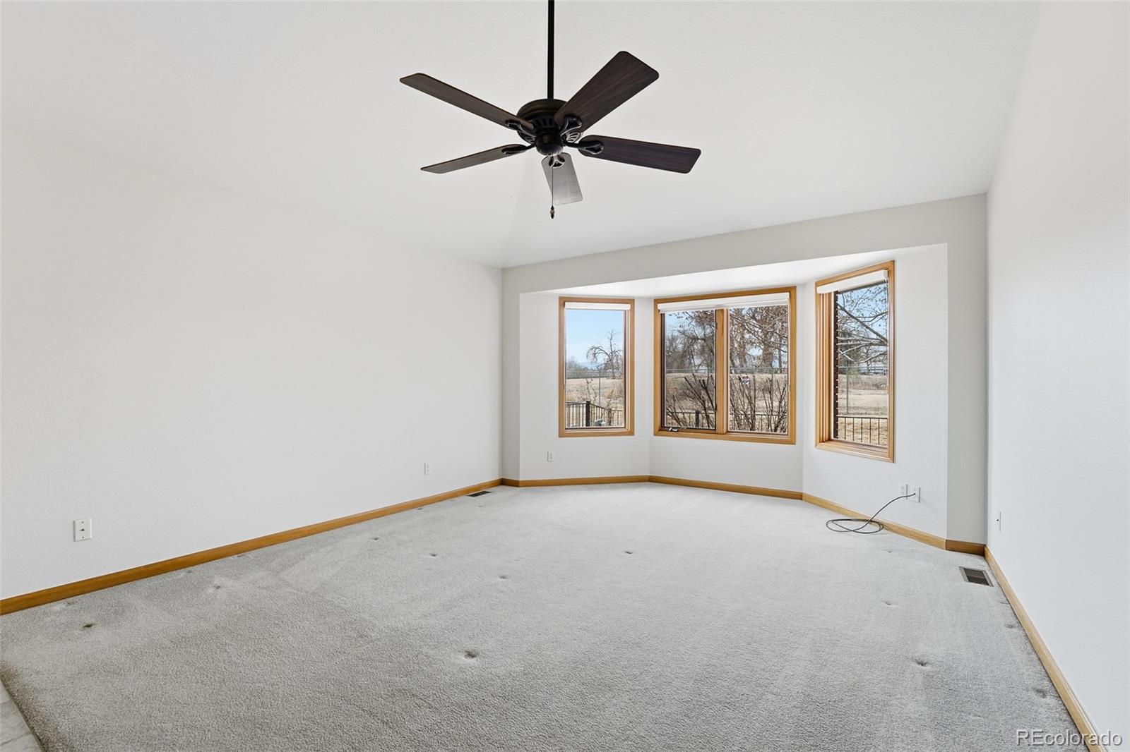 MLS Image #8 for 1627  linden street,longmont, Colorado