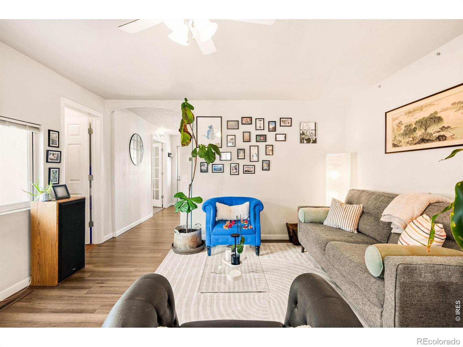 MLS Image #1 for 167  lowell boulevard,denver, Colorado