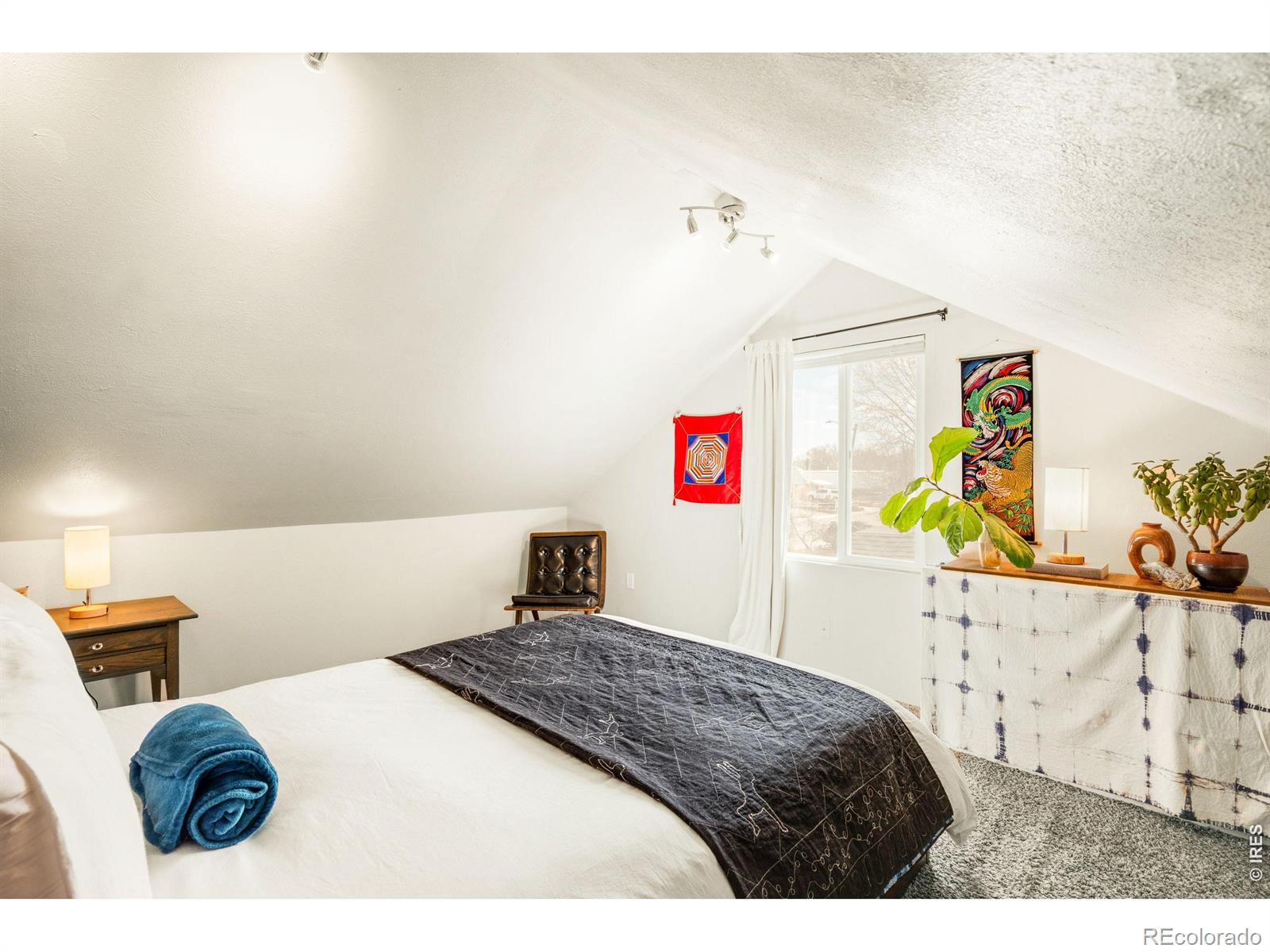 MLS Image #14 for 167  lowell boulevard,denver, Colorado