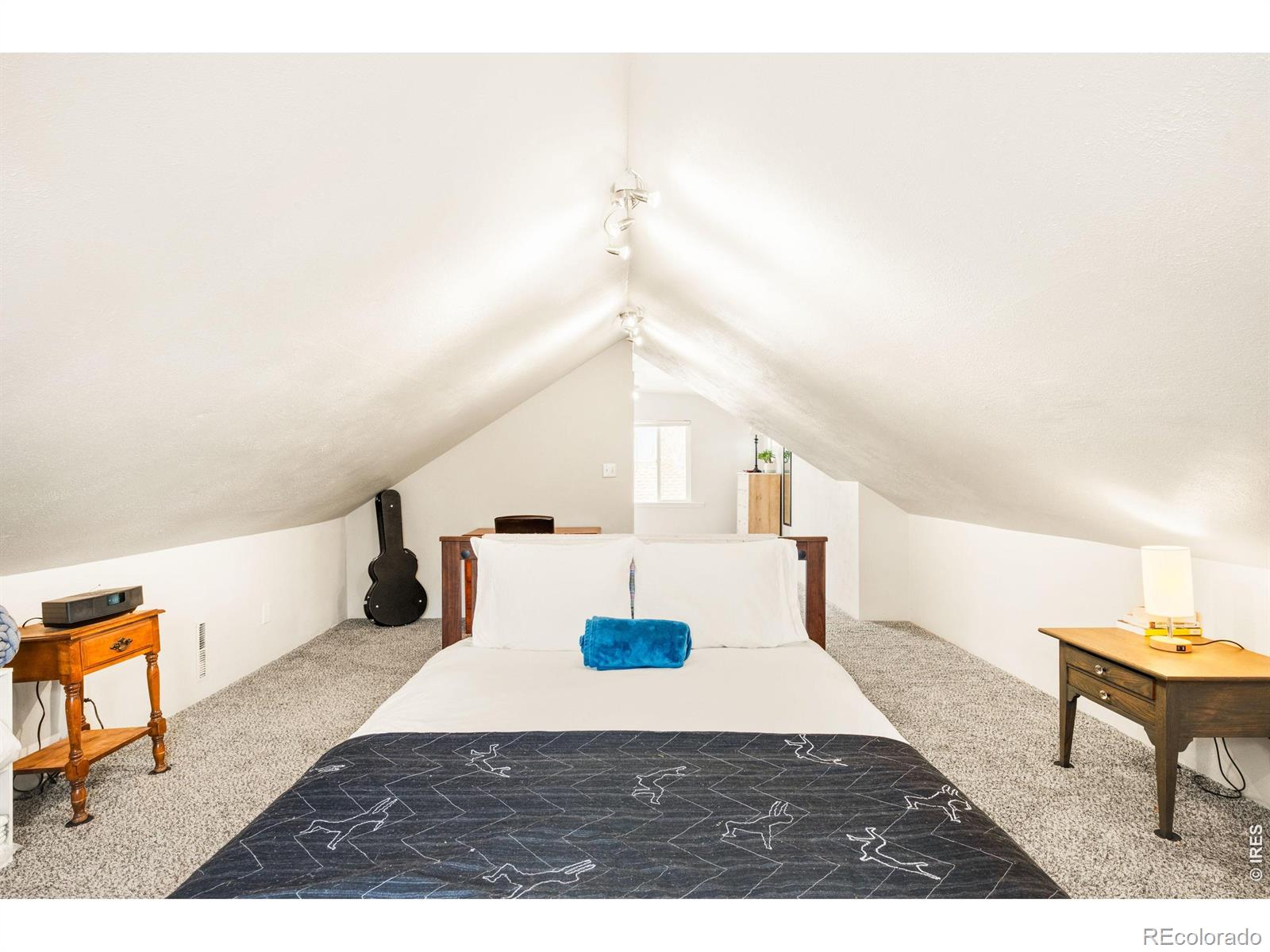 MLS Image #16 for 167  lowell boulevard,denver, Colorado