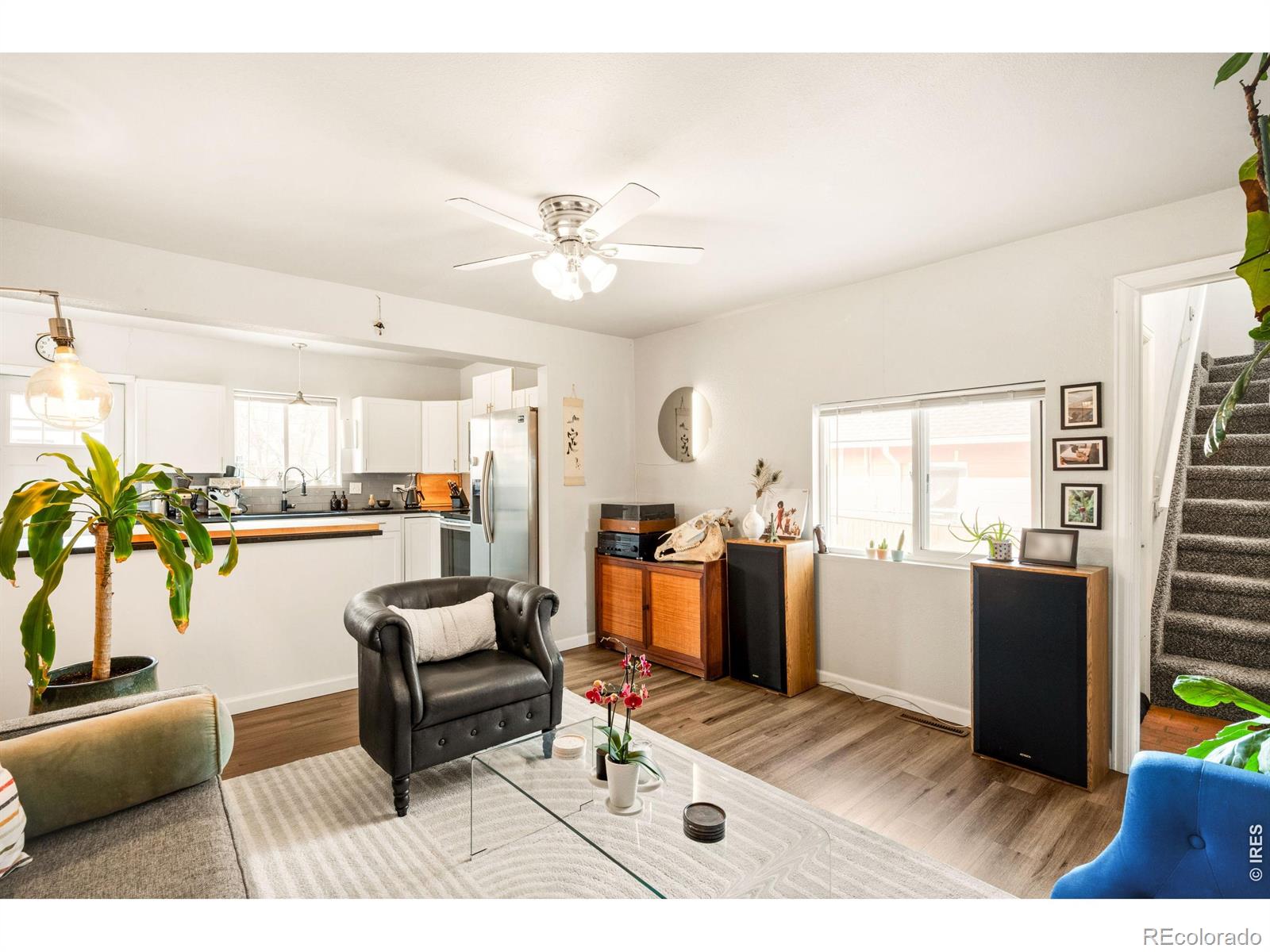 MLS Image #3 for 167  lowell boulevard,denver, Colorado