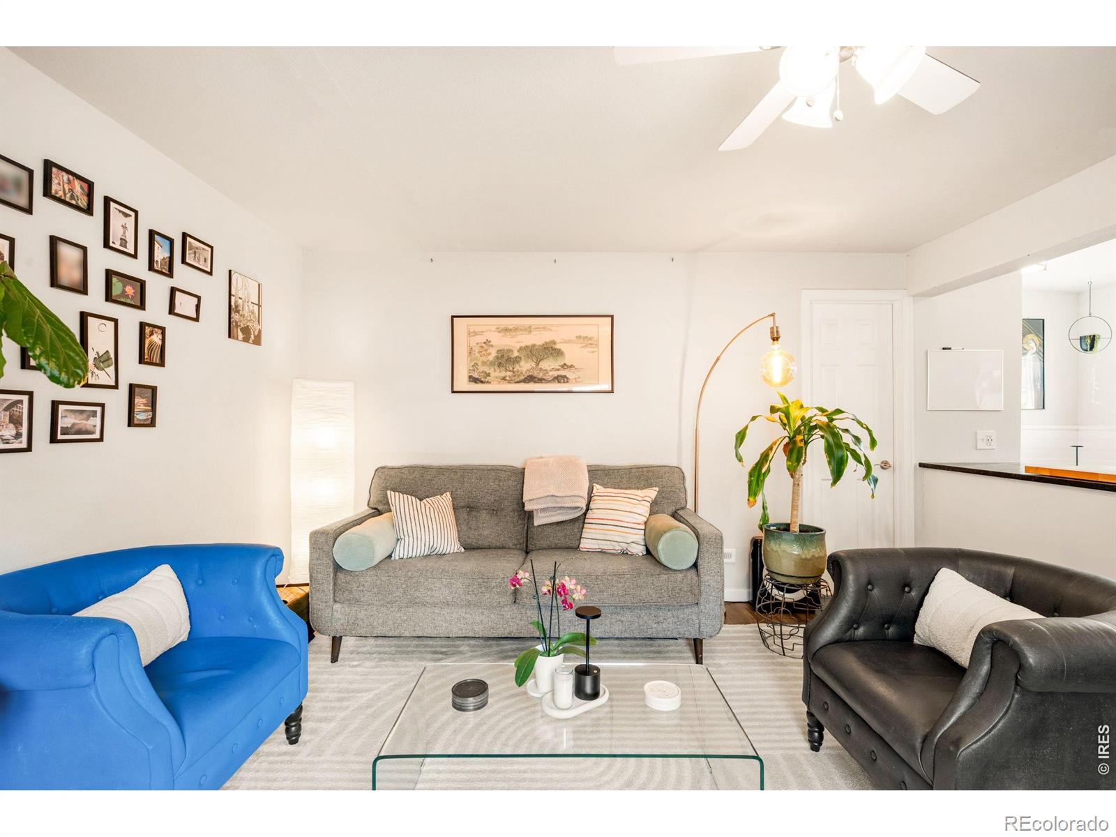 MLS Image #8 for 167  lowell boulevard,denver, Colorado