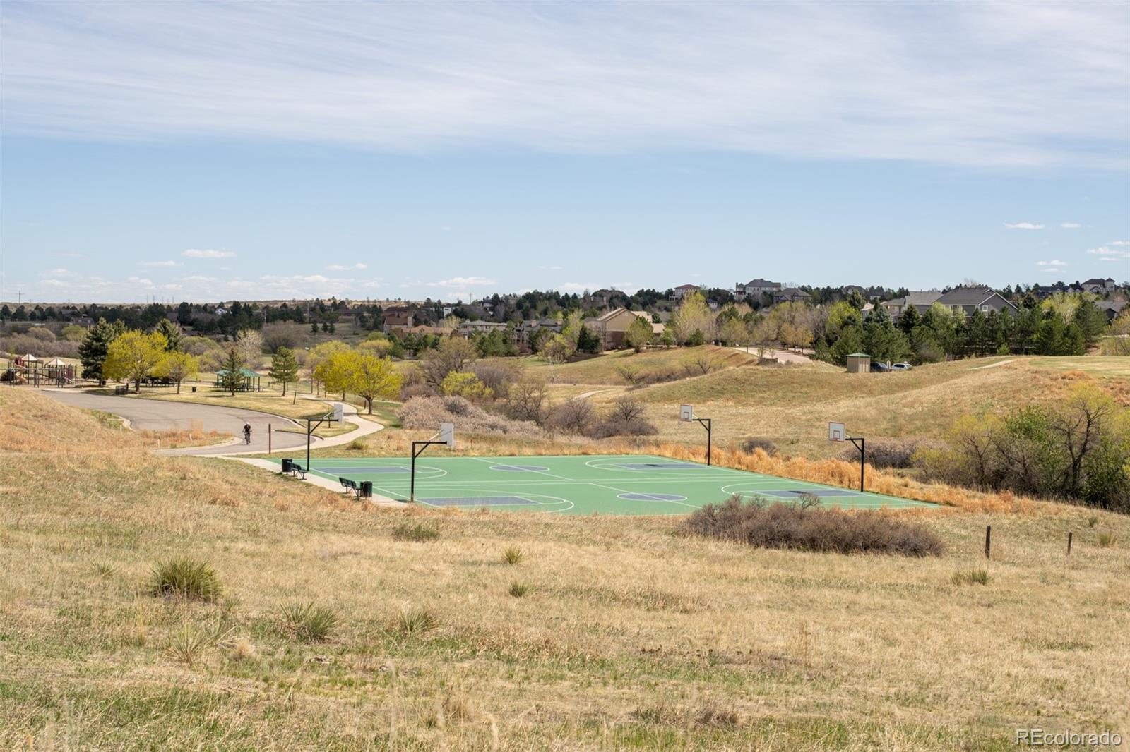 MLS Image #41 for 7367  serena drive,castle pines, Colorado