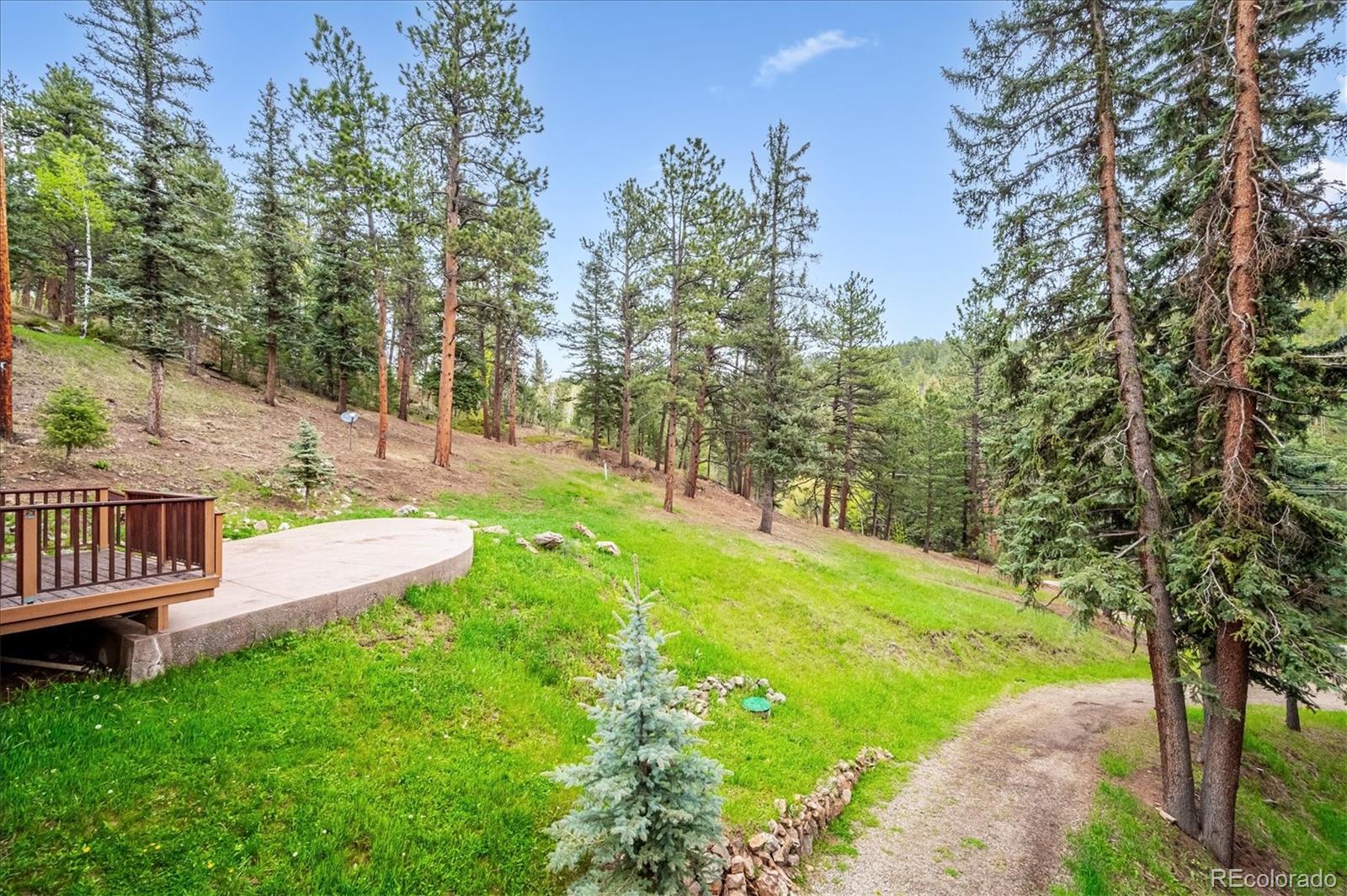 MLS Image #10 for 6747 s brook forest road,evergreen, Colorado