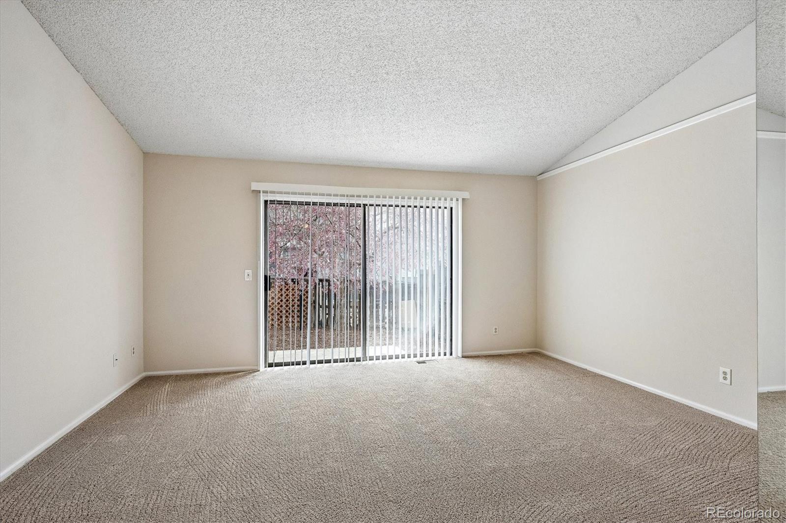 MLS Image #11 for 8624  redstone street ,highlands ranch, Colorado