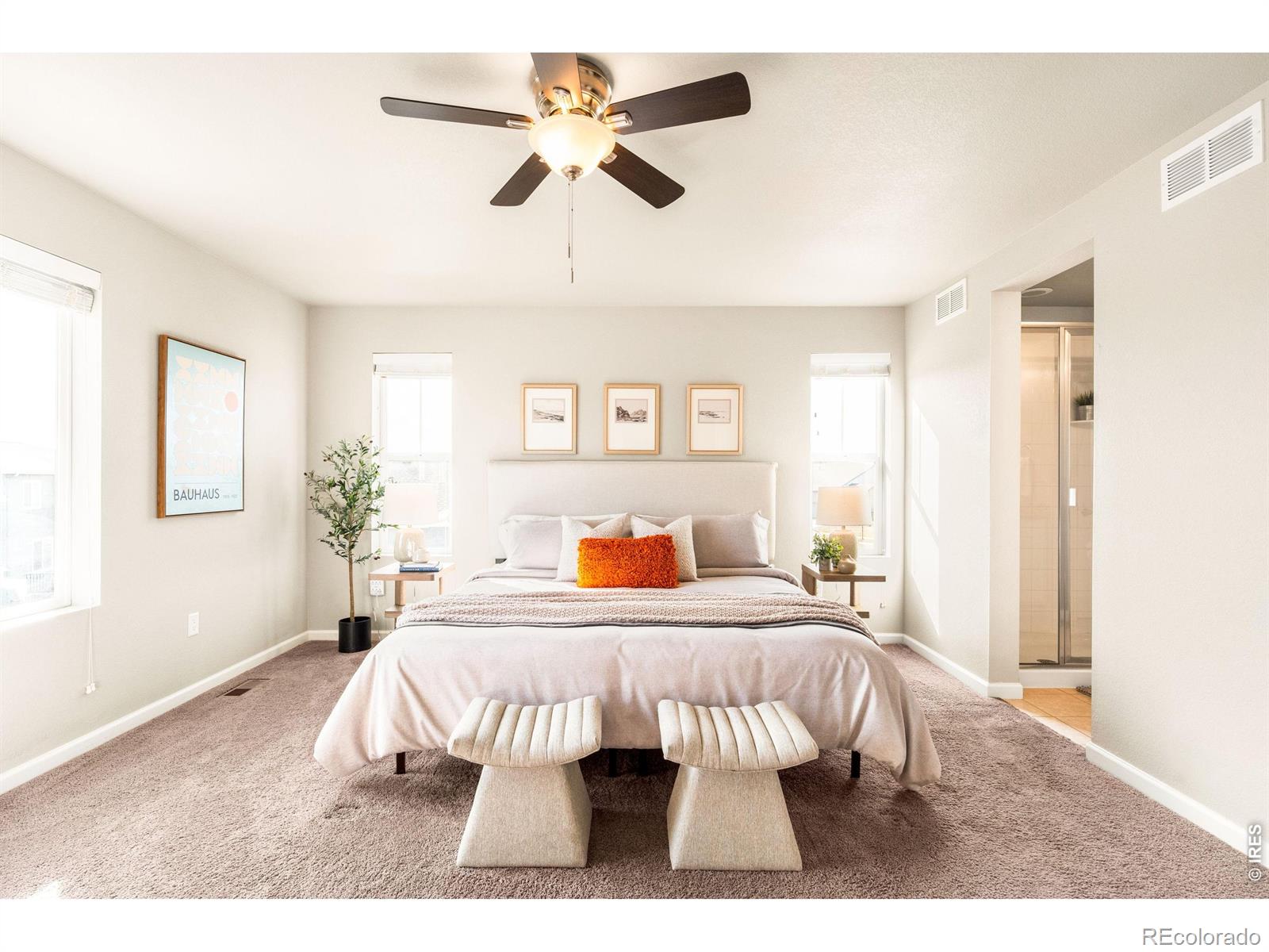 MLS Image #29 for 1700  marlowe circle,erie, Colorado