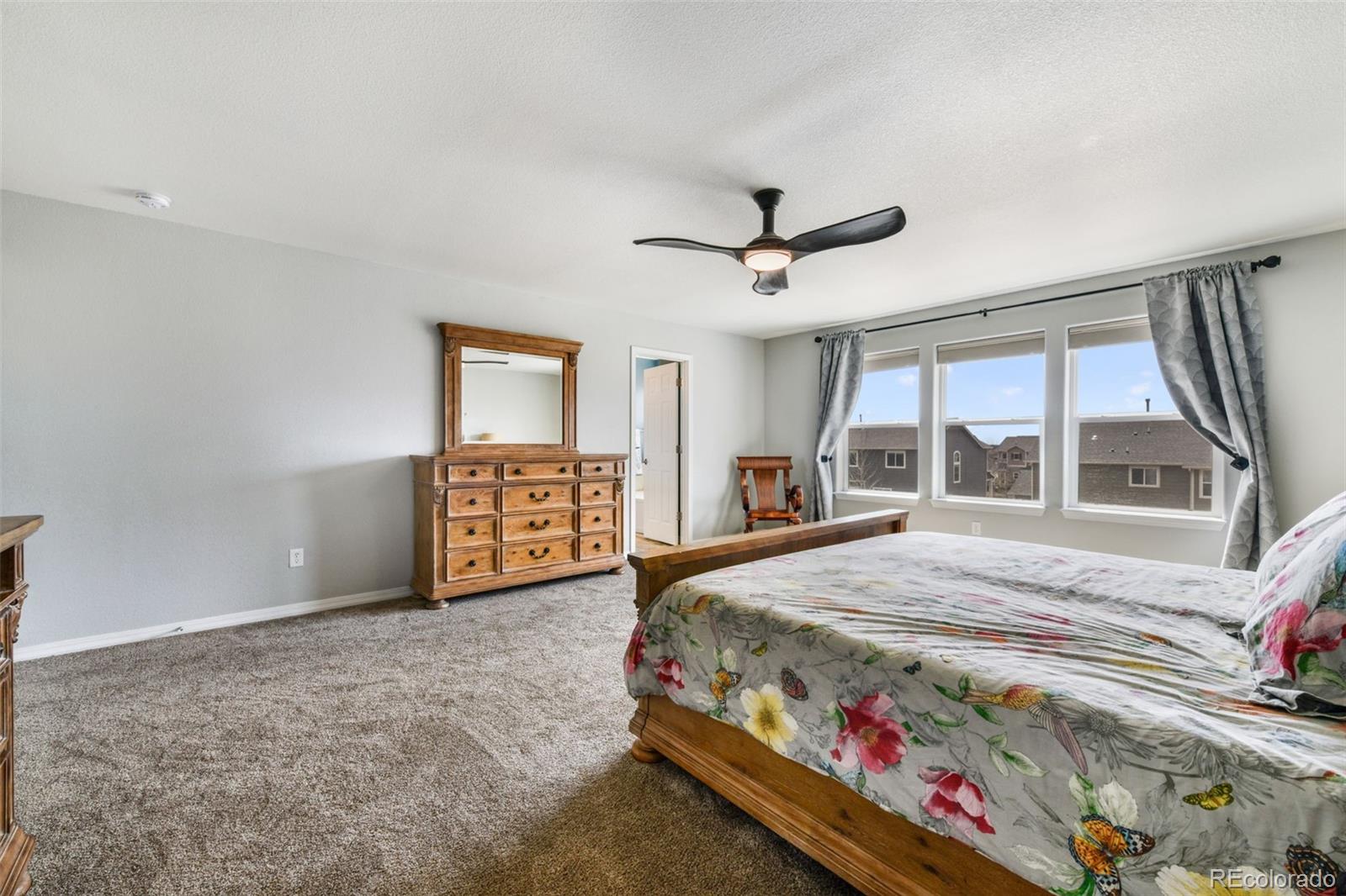 MLS Image #20 for 995  diamond rim drive,colorado springs, Colorado