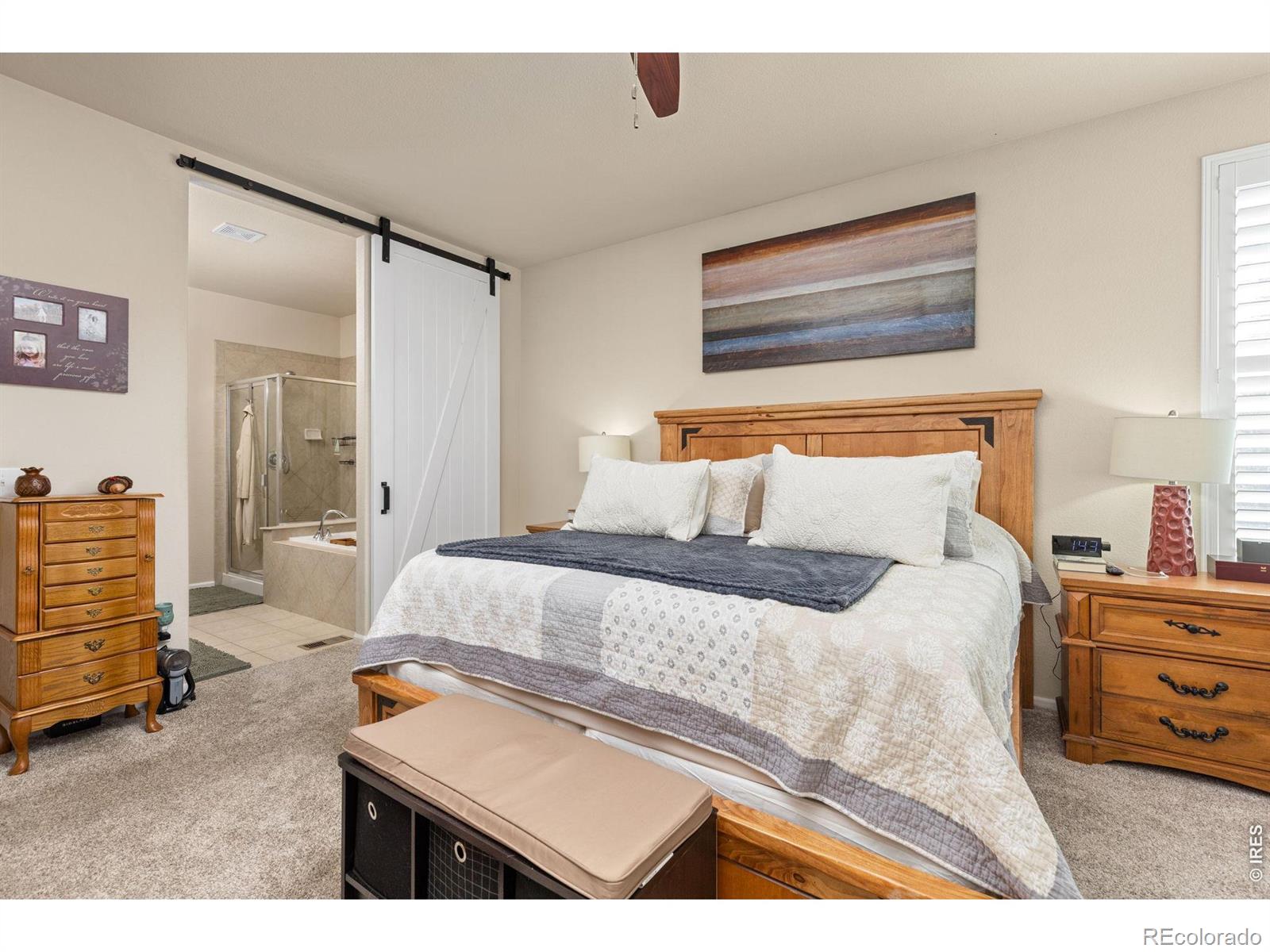 MLS Image #17 for 1142  koss street,erie, Colorado