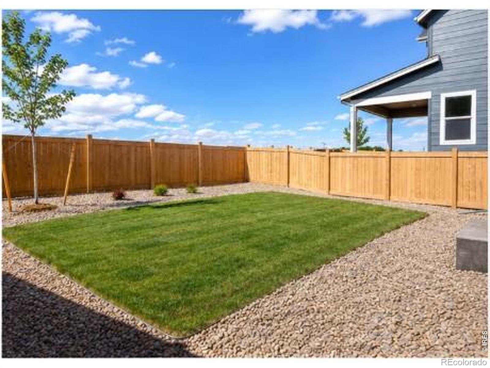 MLS Image #23 for 1448  boyle street,windsor, Colorado