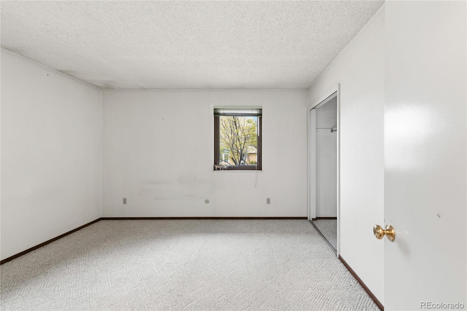 MLS Image #15 for 2345  lanyon drive,longmont, Colorado
