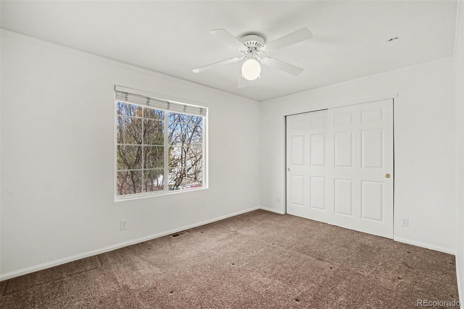 MLS Image #12 for 10700  kimblewyck circle,northglenn, Colorado