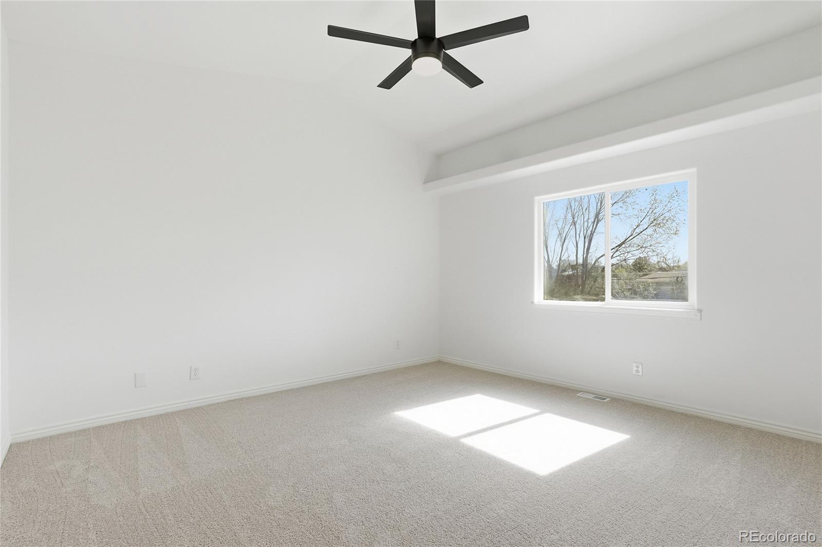 MLS Image #17 for 5102  athos court,pueblo, Colorado