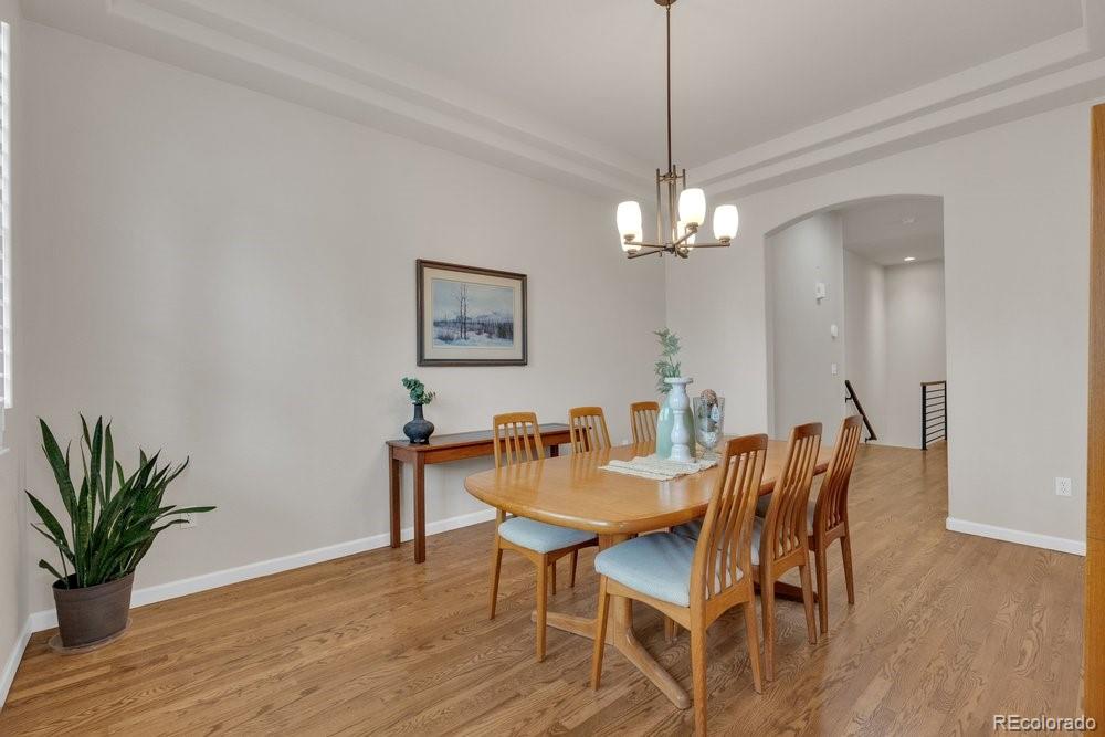 MLS Image #10 for 2042  gypsy moth court,castle rock, Colorado
