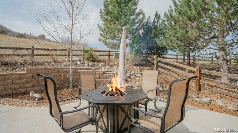 MLS Image #24 for 2042  gypsy moth court,castle rock, Colorado