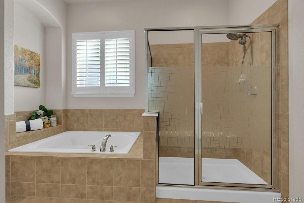 MLS Image #31 for 2042  gypsy moth court,castle rock, Colorado