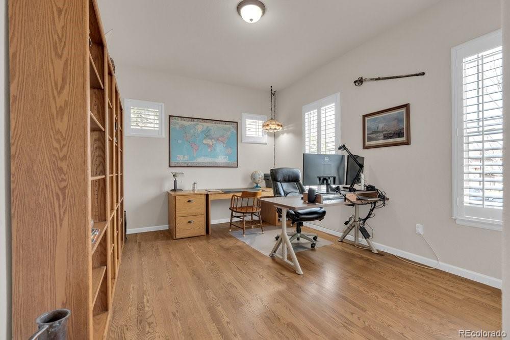 MLS Image #32 for 2042  gypsy moth court,castle rock, Colorado