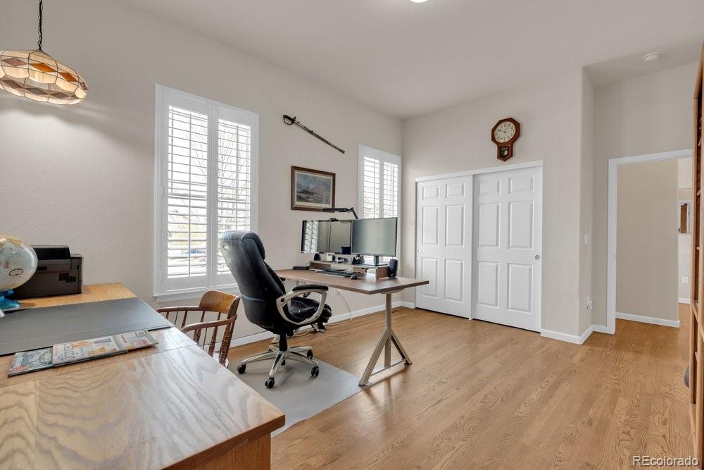 MLS Image #36 for 2042  gypsy moth court,castle rock, Colorado